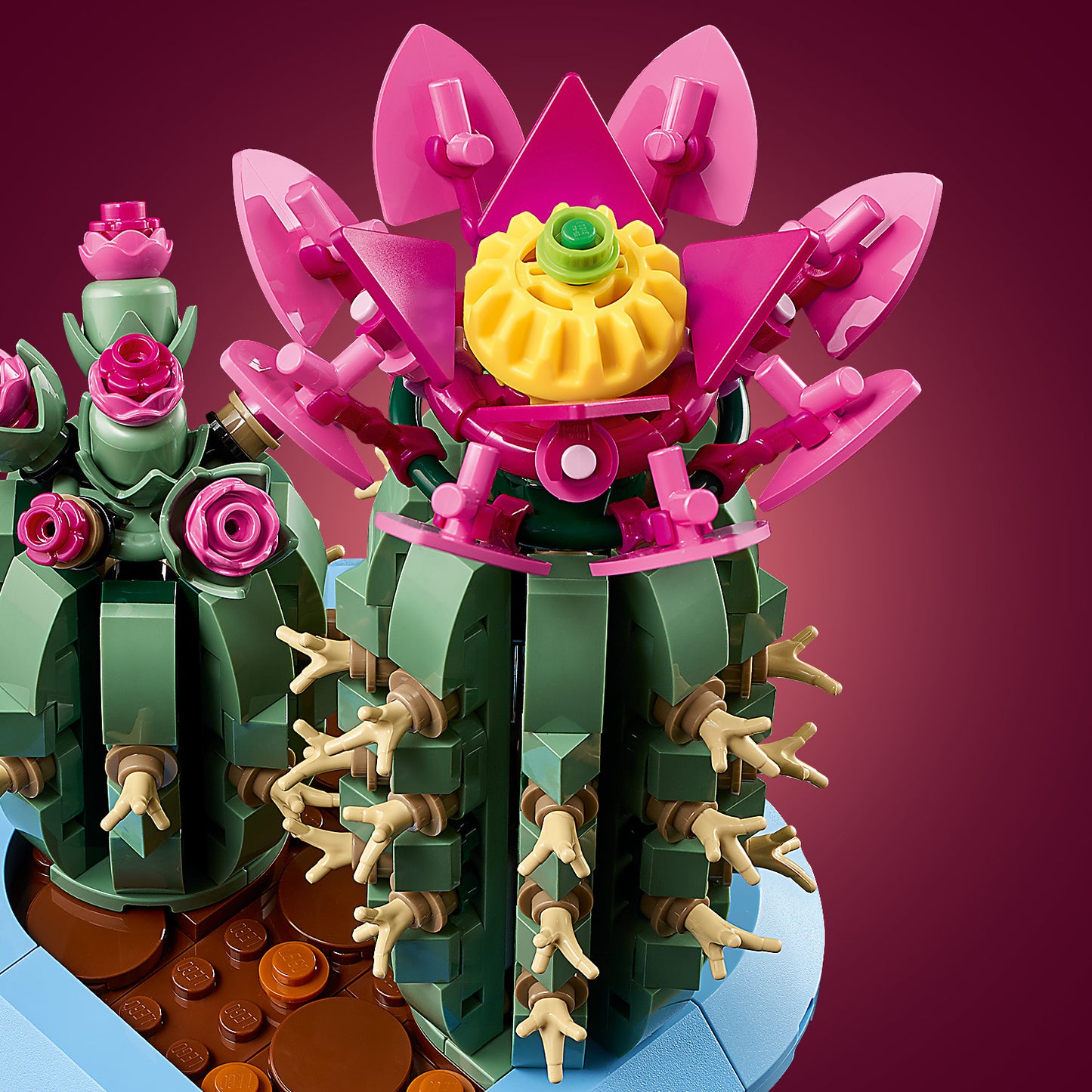LEGO® Botanicals Bloeiende Cactus - Plantendecoratie - Bouwset voor Kinderen Vanaf 9 Jaar - 11509