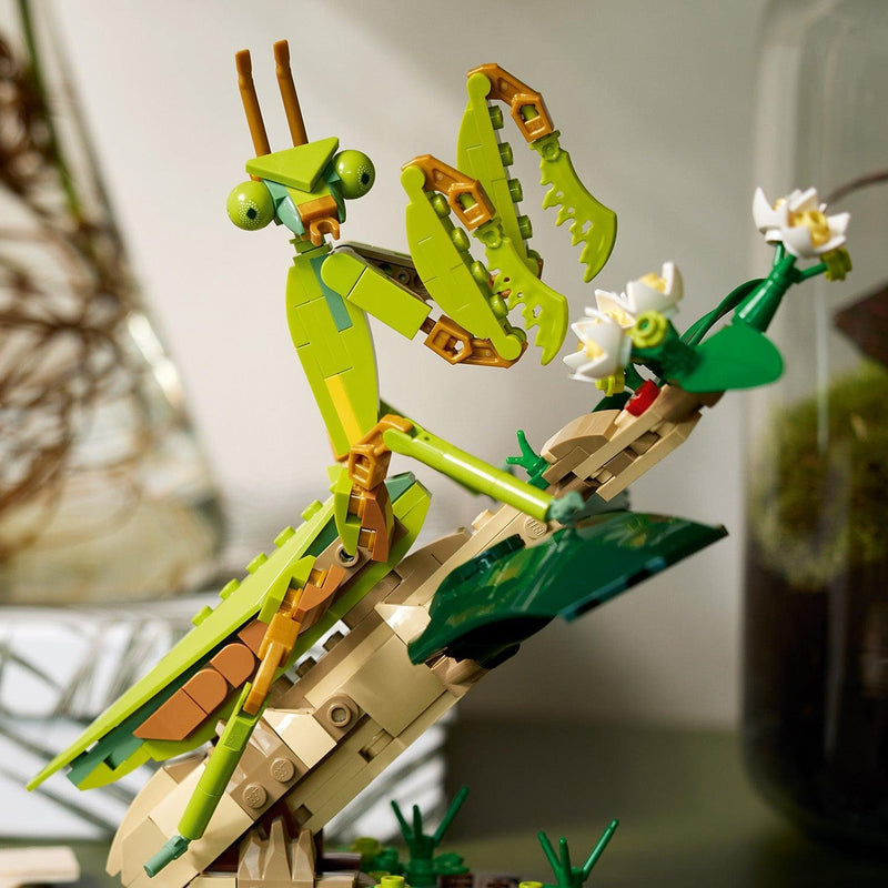 LEGO De insectencollectie 21342 Ideas LEGO IDEAS @ 2TTOYS LEGO €. 84.99