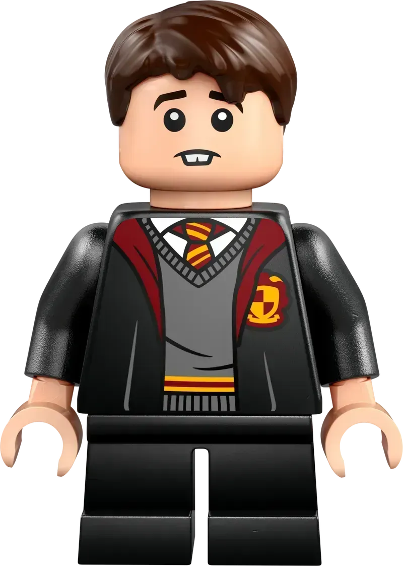 LEGO Vliegles bij Kasteel Zweinstein 76447 Harry Potter