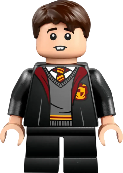 LEGO Vliegles bij Kasteel Zweinstein 76447 Harry Potter