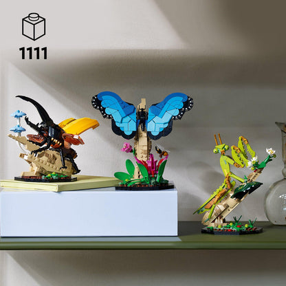 LEGO De insectencollectie 21342 Ideas LEGO IDEAS @ 2TTOYS LEGO €. 84.99