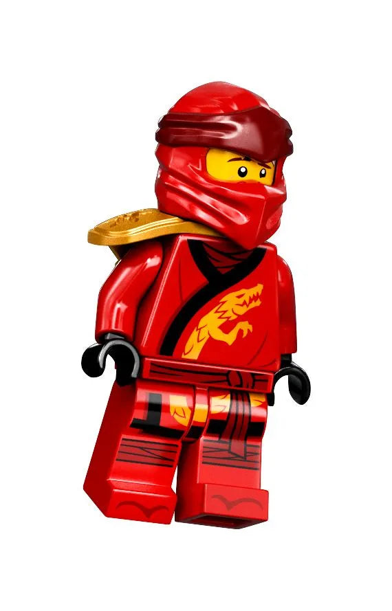 LEGO Ninjago Stadstuinen / The gardens of Ninjago City 71741 Ninjago