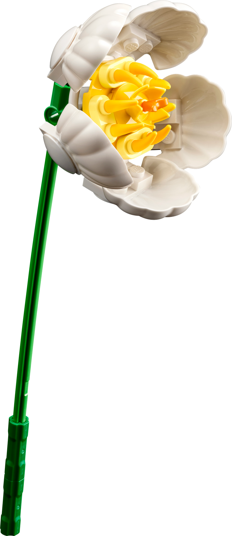 LEGO Klein zomers boeket 10347 Botanical