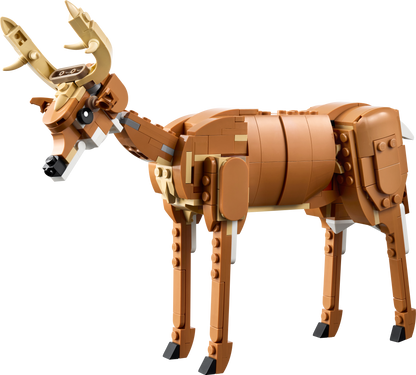 LEGO Prachtig paard 31166 Creator 3 in 1