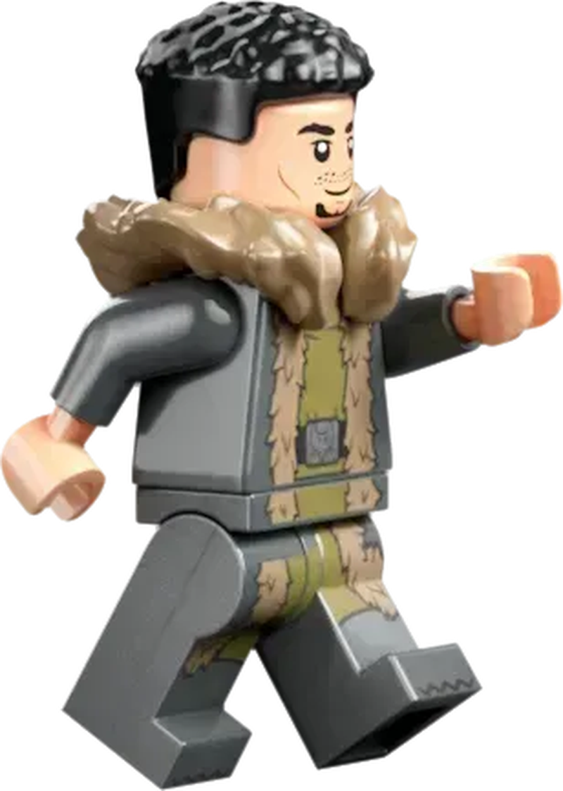 LEGO Toverschool Toernooi: de aankomst 76440 Harry Potter