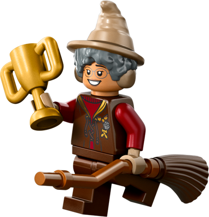 LEGO Zwik & Zwachtels Zwerkbalpaleis en ijssalon 76452 Harry Potter