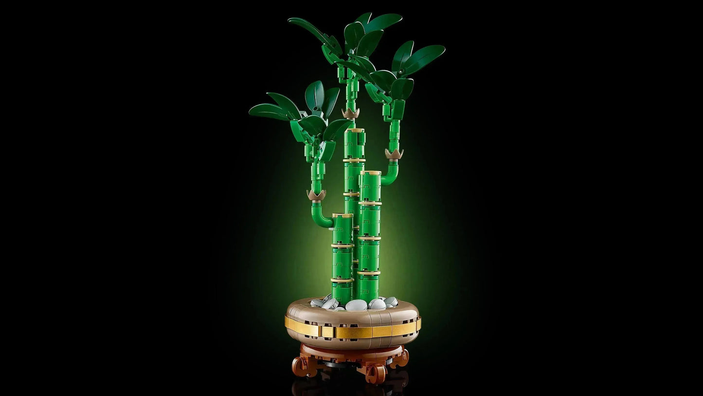 LEGO Geluksbamboe 10344 Botanische Collectie