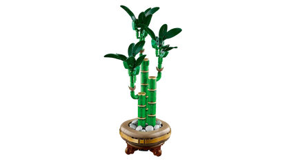 LEGO Geluksbamboe 10344 Botanische Collectie (Levering: Januari 2025) @ 2TTOYS | Official LEGO shop😊🥰 2TTOYS €. 24.99