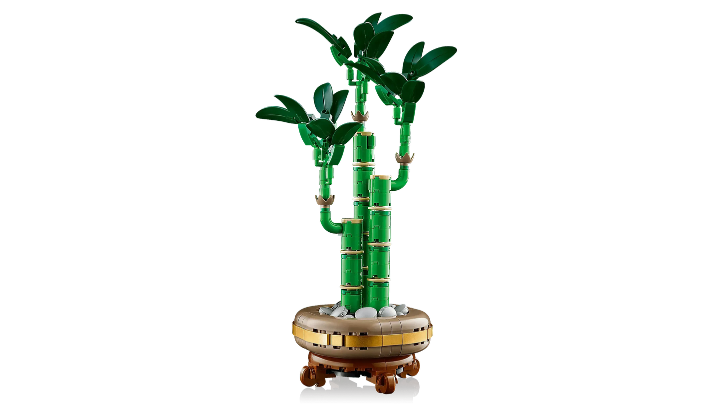 LEGO Geluksbamboe 10344 Botanische Collectie (Levering: Januari 2025) @ 2TTOYS | Official LEGO shop😊🥰 2TTOYS €. 24.99