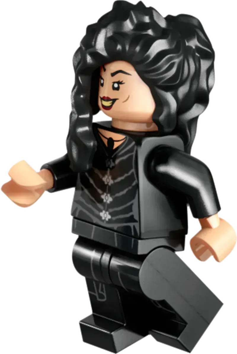 LEGO Het landhuis van Malfidus 76453 Harry Potter