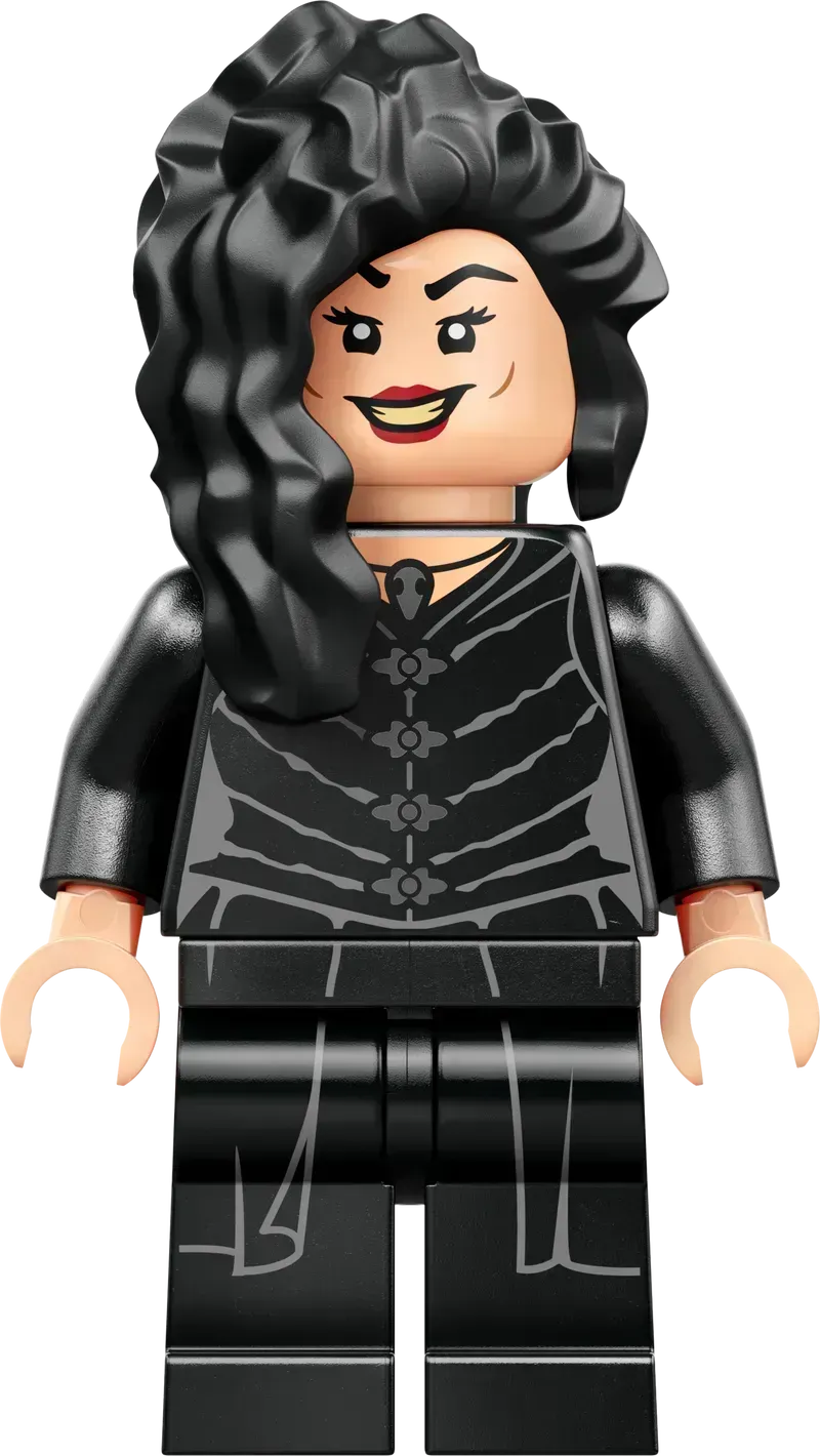 LEGO Het landhuis van Malfidus 76453 Harry Potter