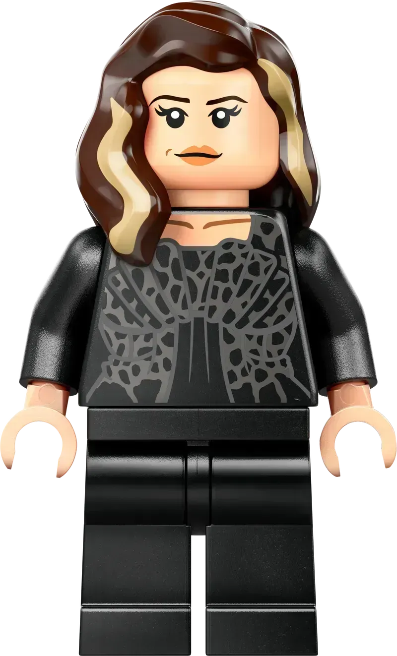 LEGO Het landhuis van Malfidus 76453 Harry Potter