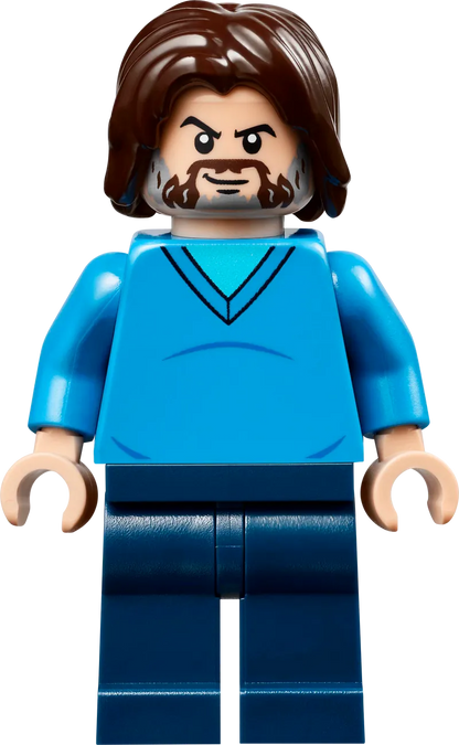 LEGO De arena bij het boslandhuis 21272 Minecraft