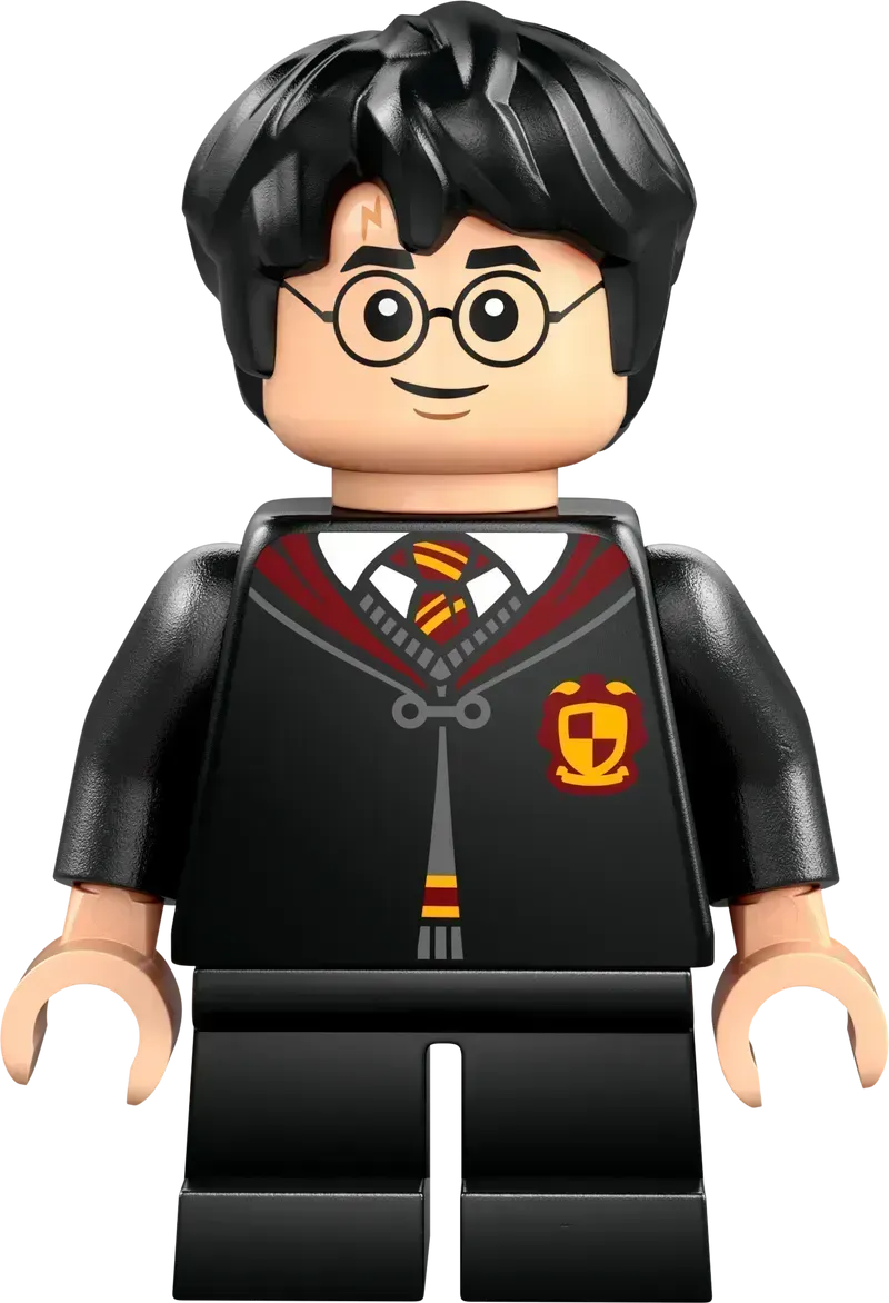 LEGO Vliegles bij Kasteel Zweinstein 76447 Harry Potter