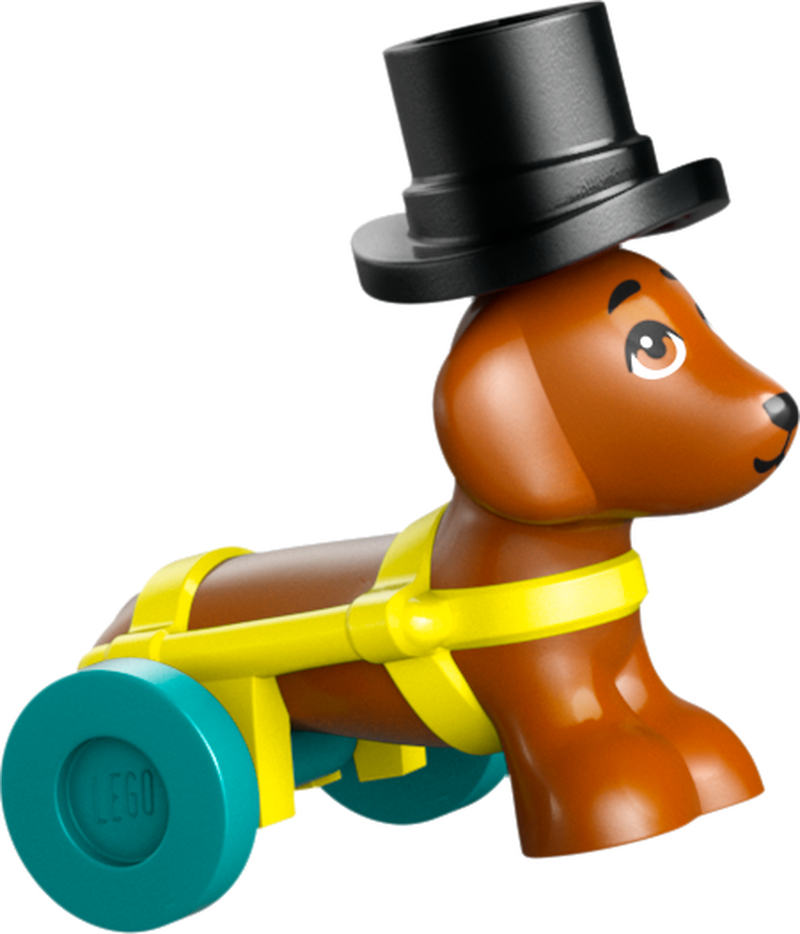 LEGO Dieren Accessoires Winkel 42650 Friends (Pre-Order: 1 januari)