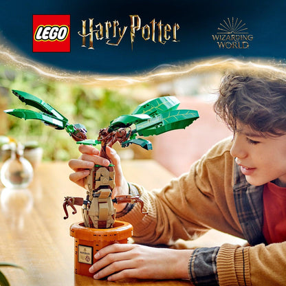 LEGO Mandragora 76433 Harry Potter (Pre-Order: verwacht juni) LEGO HARRY POTTER @ 2TTOYS LEGO €. 59.49