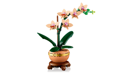 LEGO Mini Orchidee 10343 Botanische Collectie @ 2TTOYS | Official LEGO shop😊🥰 2TTOYS €. 24.99