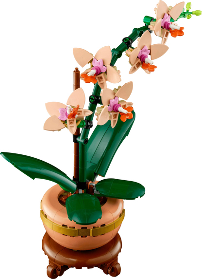 LEGO Mini Orchidee 10343 Botanische Collectie @ 2TTOYS | Official LEGO shop😊🥰 2TTOYS €. 24.99