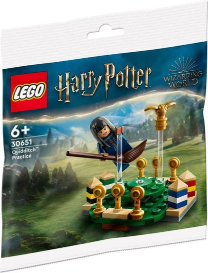 LEGO Zwerkbaltraining 30651 Harry Potter Polybag LEGO HARRY POTTER @ 2TTOYS | Official LEGO shop😊🥰 LEGO €. 3.99