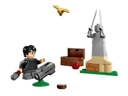 LEGO Zwerkbaltraining 30706 Harry Potter (Pre-Order: februari 2025) @ 2TTOYS | Official LEGO shop😊🥰 2TTOYS | Official LEGO shop😊🥰 €. 3.99