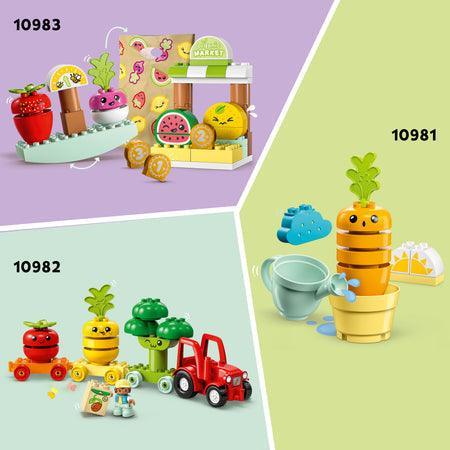 LEGO Biotuintje 10984 DUPLO LEGO DUPLO @ 2TTOYS LEGO €. 38.48