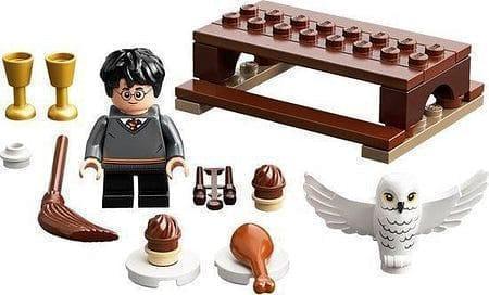 LEGO Harry Potter en Hedwig 30420 Harry Potter Polybag LEGO HARRY POTTER @ 2TTOYS | Official LEGO shop😊🥰 LEGO €. 4.99