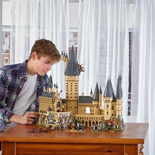 LEGO Het Kasteel Zweinstein met 6.000 stenen 71043 Harry Potter LEGO HARRY POTTER @ 2TTOYS LEGO €. 424.99