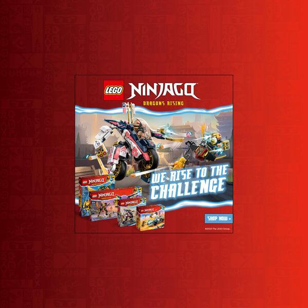 LEGO Zane’s drakenkracht Spinjitzu racewagen 71791 Ninjago LEGO NINJAGO @ 2TTOYS | Official LEGO shop😊🥰 LEGO €. 29.98